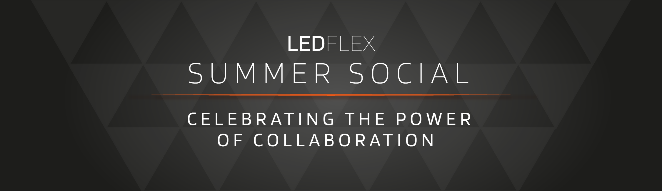 LEDFlex Summer Social 